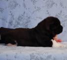 girl 1 18 days.jpg